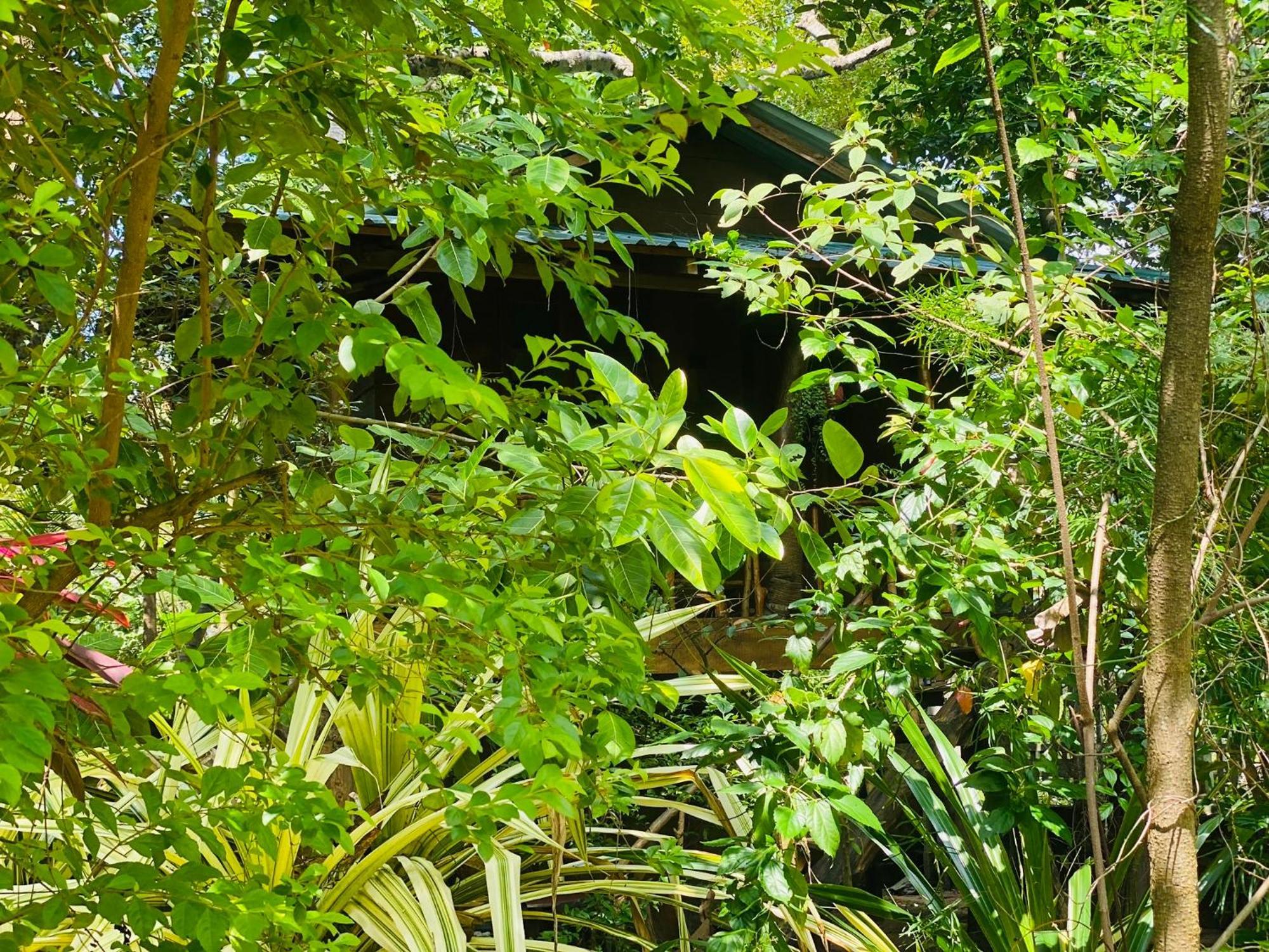 Girilena Resort Dambulla Exterior photo